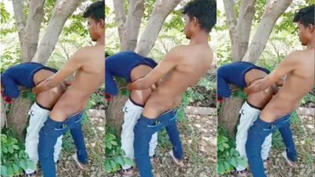 Outdoor Hard Cousin Sex – Tree Viral Xxx